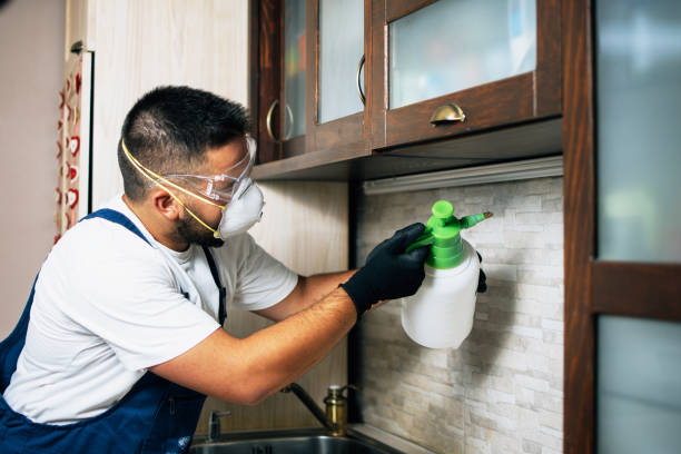 Reliable Rankin, PA Pest Control Solutions