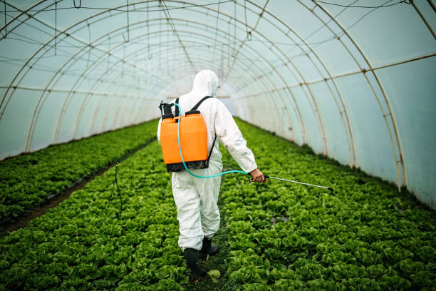 Best Best Pest Control Companies  in Rankin, PA