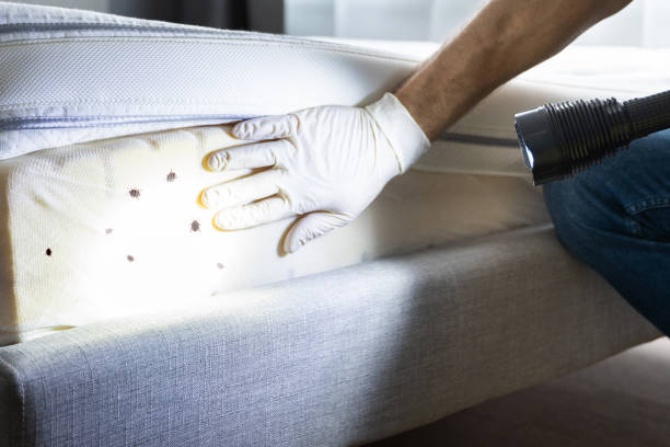 Best Pest Control for Businesses  in Rankin, PA